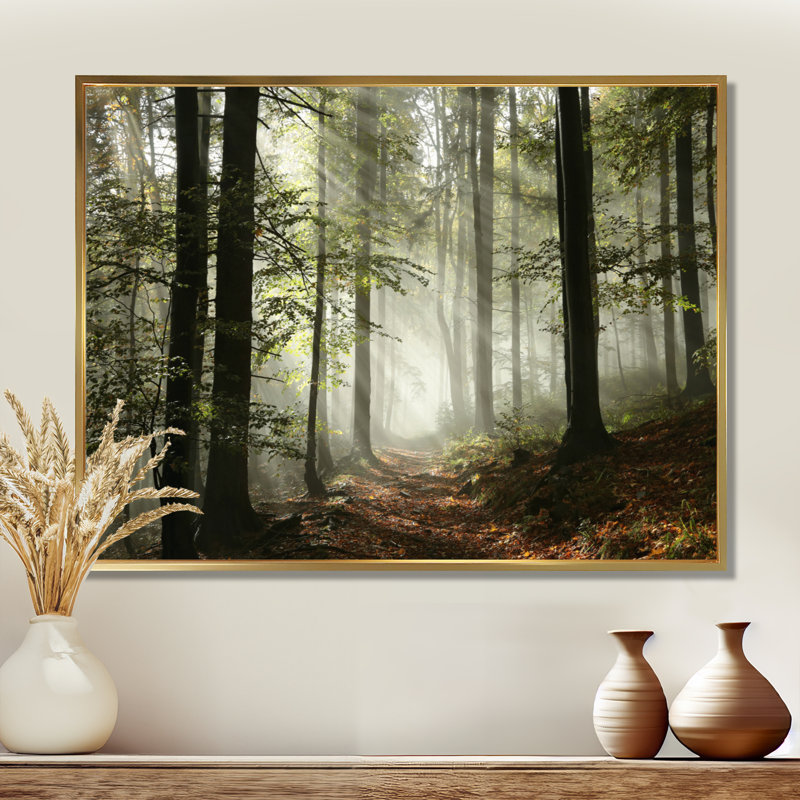 Lumière dans une forêt d'automne dense avec brouillard, œuvre d'art, H 16 po x l 32 po, Reproduction avec cadre flottant, Or