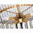 Kaan 5-Light Dimmable Metal and Glass Drum Chandelier-814634531-814634530
