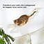 Passerelle et tablette murales pour chat - Escalade multifonctionnelle avec corde en sisal naturel, autoroute féline pour chatons et grands chats