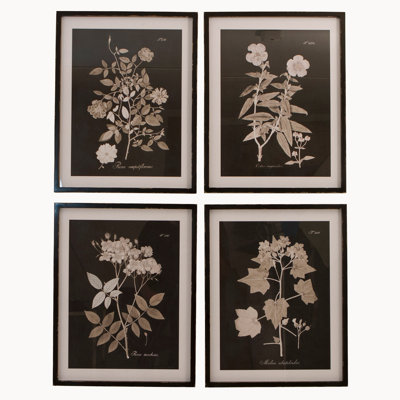 Lechiaro 4 Piece Single Picture Frame Print