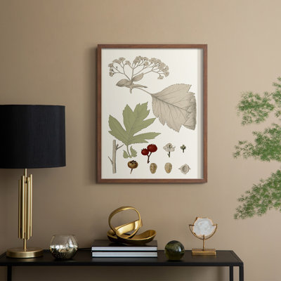 Leaves & Berries II Framed Print - Solid Wood