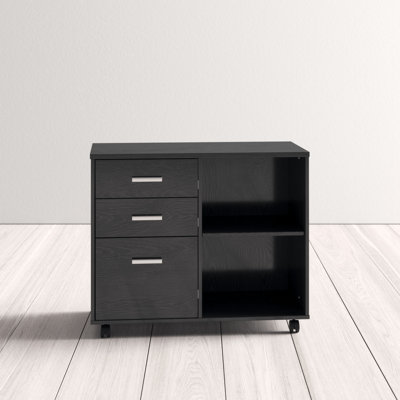 Newfields 3-Drawer Mobile Lateral Filing Cabinet by Ebern Designs