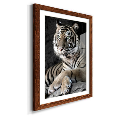 Tigre de Sumatra - reproduction de photo sur papier encadrée