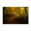 Art sur toile, «ologia bolologan »-109334664