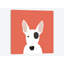 Bull terrier, impression sur toile tendue-19741592-74737631-74737632