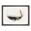 Pouring of the Red Wine in Abstract - Framed Print-55768036-55768040