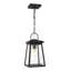 Founders Outdoor Hanging Lantern-1216178202-1216204725