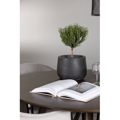 Overstreet 4 - Person Dining Set