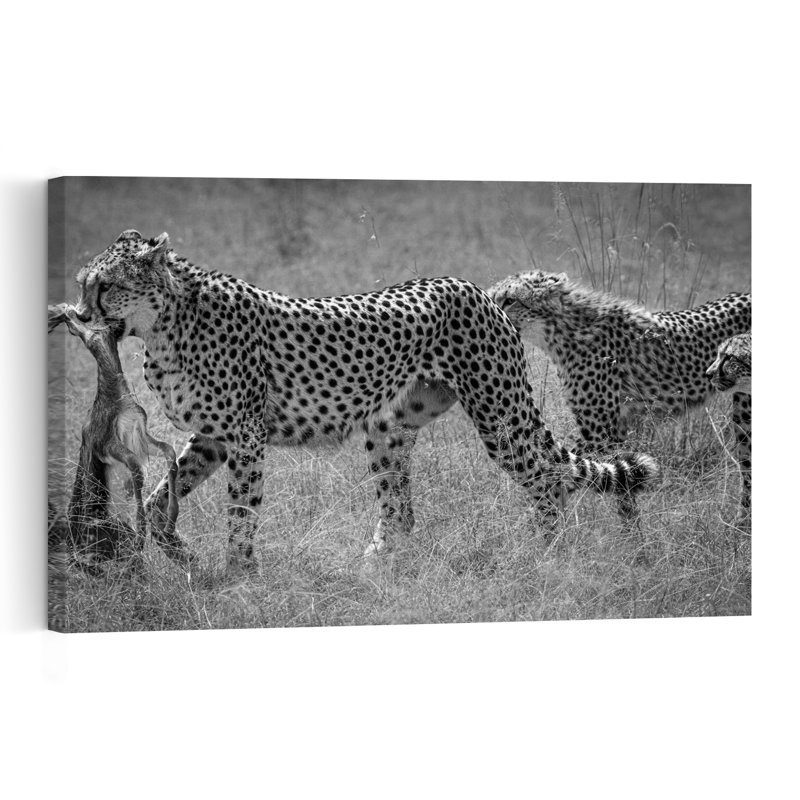 Cheetah Family Hunt Contemporary Wall Art Print 1 Piece Wrapped Canvas Wall Art, 40.64cm H x 60.96cm W