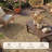 Oriental Medallion UV Resistant Woven Indoor / Outdoor Area Rug Tan-226571292-227928346