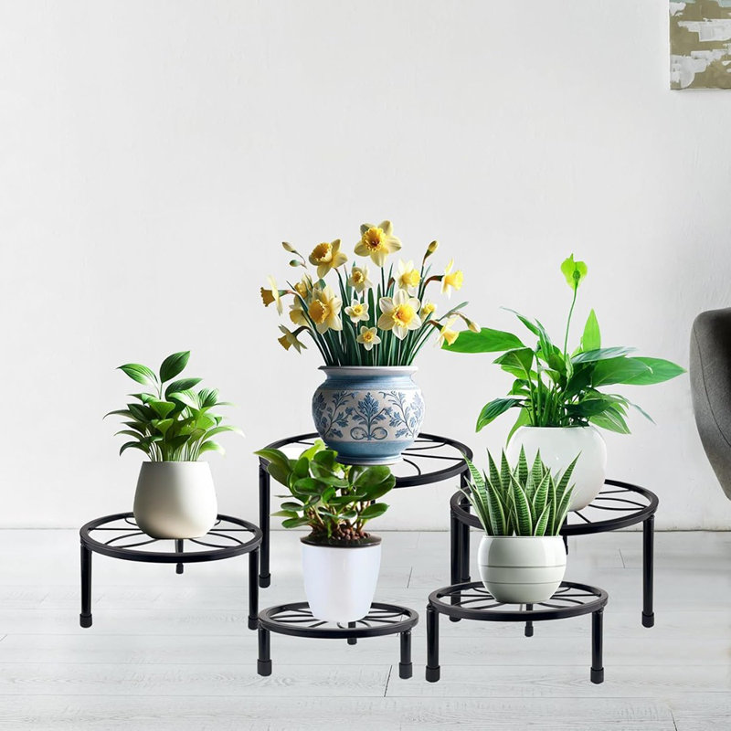 Support pour plante d'intérieur et d'extérieur