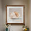 Impressionist Shell Study IV - Cadre photo, reproduction d'art sur papier-2121344471-2121344468