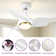 Bernadeta 26'' Ceiling Fan with LED Lights
