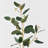 Audet Artificial Eucalyptus Branch(1 Stem)-1447833680