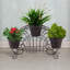 Pots à fleurs décoratifs