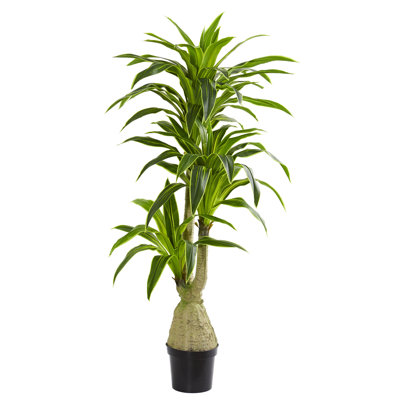 78'' Faux Dracaena Plant in Planter