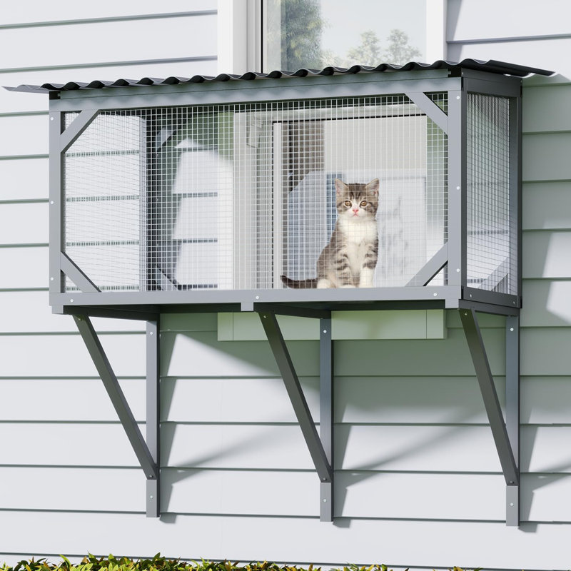 Enclos pour chat pour chat d'intérieur