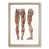 Oak Framed selected