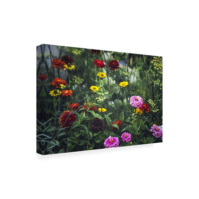 Latitude Run® Jennifer Henriksen 'Secret Gardens' Canvas Art | Wayfair