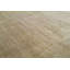 Oriental Area Rug in Beige