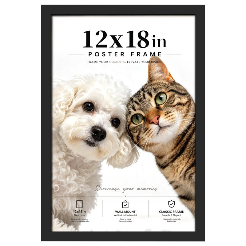 Cadre photo 12 x 18 noir, cadre pour affiche murale, 13" x 19"