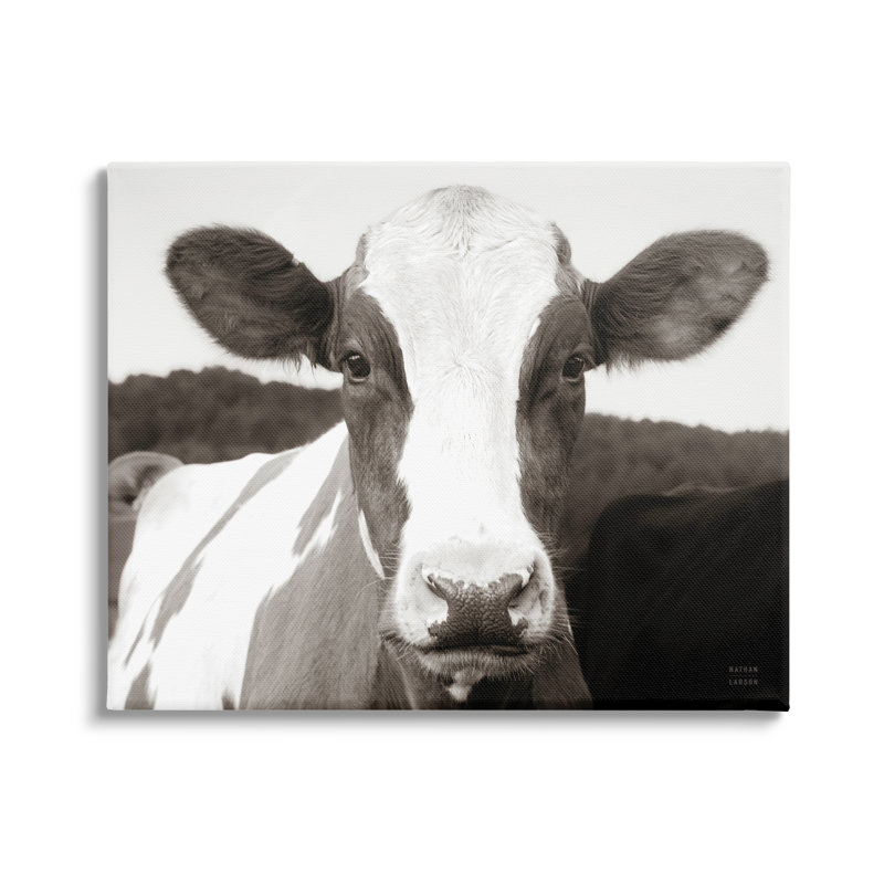 «Stupell Industries», portrait de vache, paysage de ferme, art mural sur toile par Nathan Larson