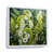 White Floater Framed