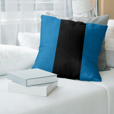 Coussin décoratif 