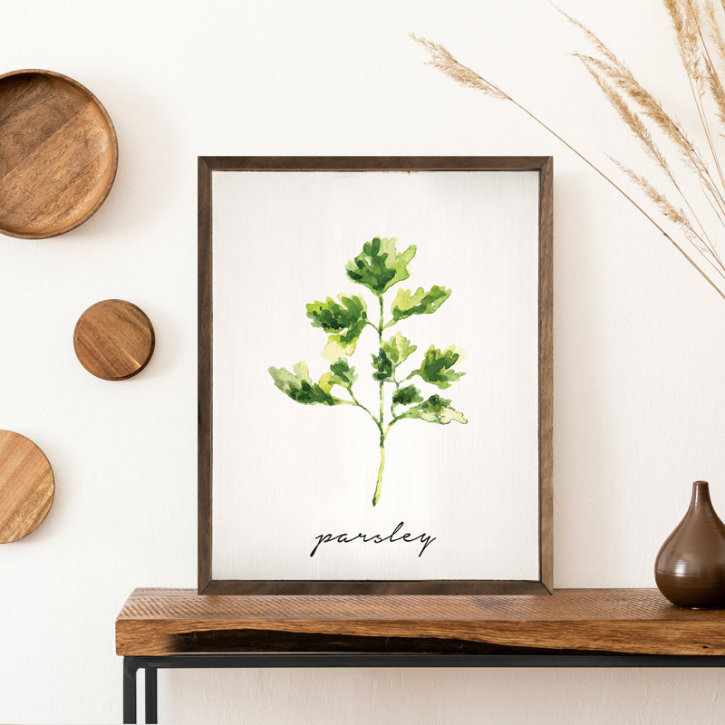 Series Herb Parsley, H 30 po x l 24 po