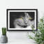 Portrait of a Cat Vol.4 - Framed Print-62759759-62759760