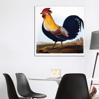 Cock by Charlotte L. E. Perrott - Wrapped Canvas Print