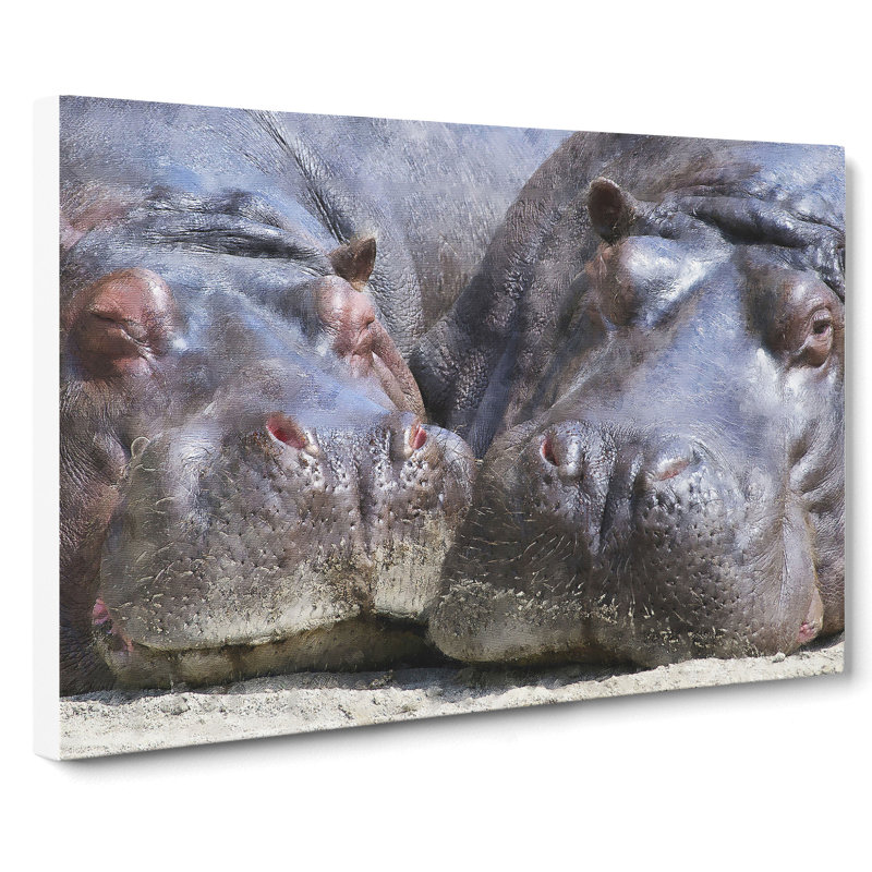 Two Hippos - Wrapped Canvas Print, 50cm H x 76cm W x 3cm D