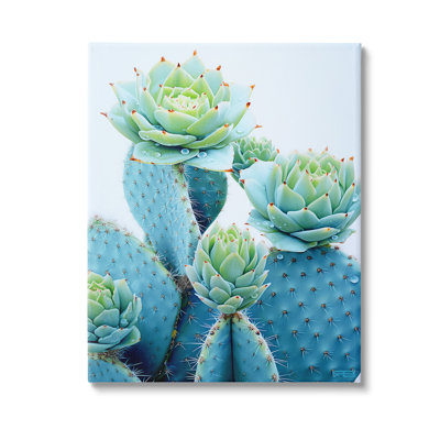Cactus avec fleurs succulentes, art mural par Rb