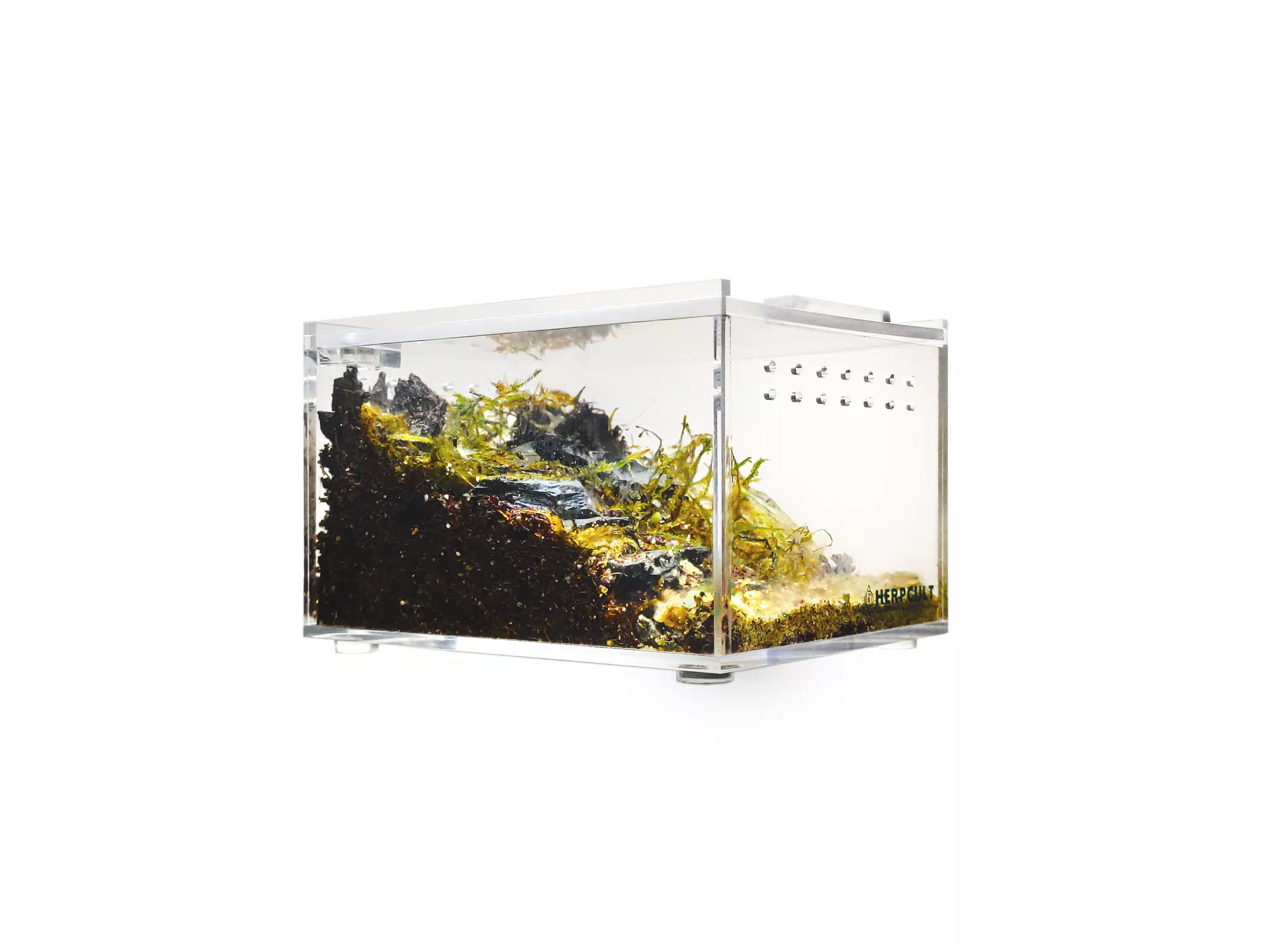 HerpCult Acrylic Enclosure- Mini Flat Clear | Wayfair