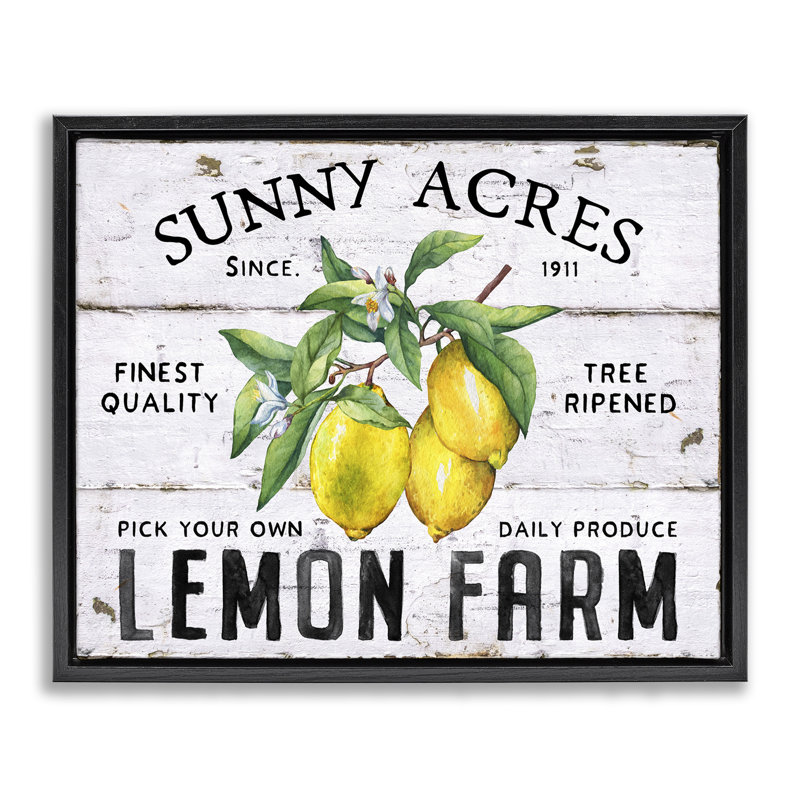 «Sunny Acres Lemon Farm», art mural encadré sur toile flottante par Creatif Belle, Cadre flottant noir de jais