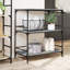 Osakis Metal Bar Cart-971730516