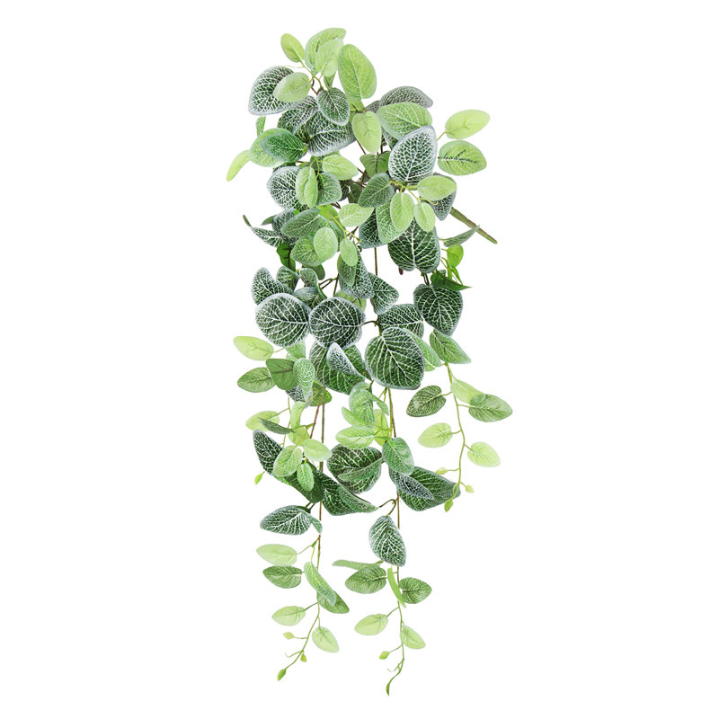 Plante artificielle suspendue lierre Fittonia, H 32 po x l 12 po x P 6 po