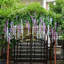Faux Wisteria Swag-1782397274