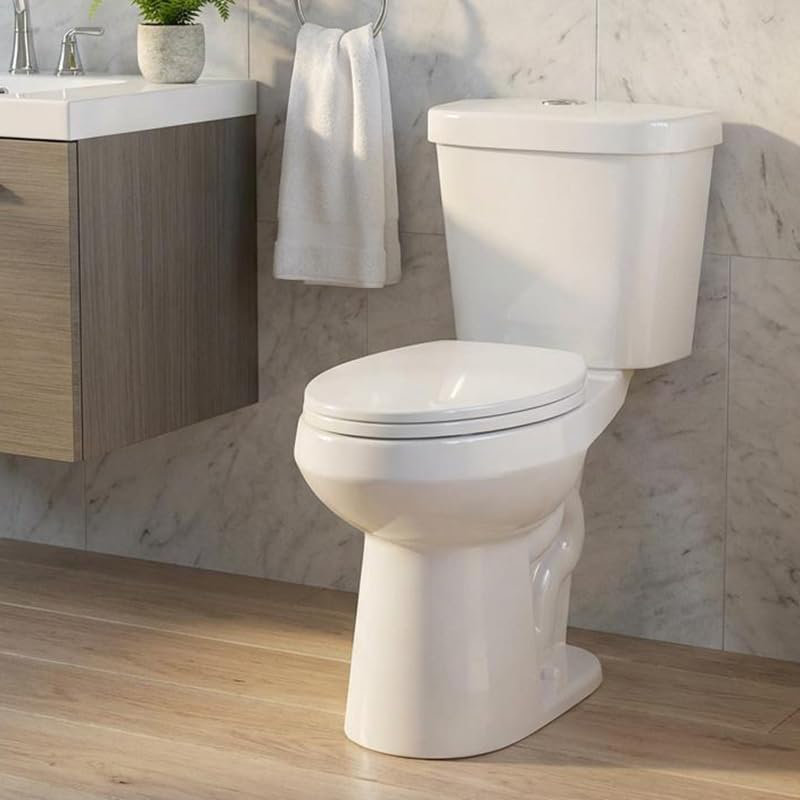 Two Piece Toilet - Elongated Bowl, 19" ADA Compliant Comfort Height, Dual Flush, Water Efficient, Slow Close Seat