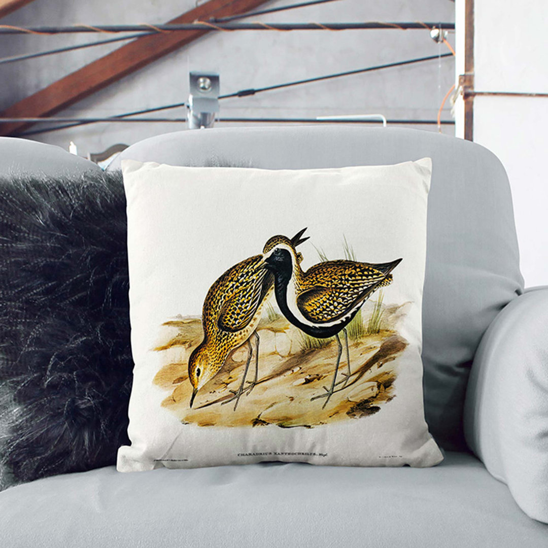Australian Plover by Elizabeth Gould Cushion with Filling