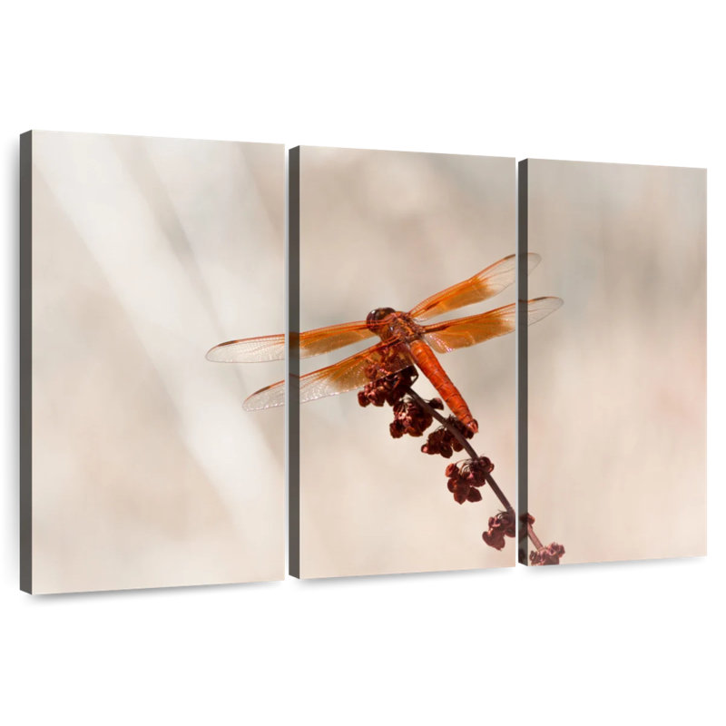 Brampt Chlorogomphus Dragonfly, 36" H x 57" W