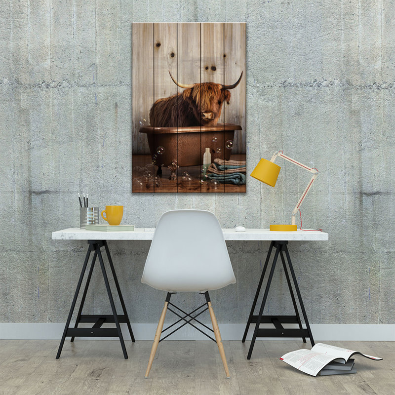 Vache Highland dans la baignoire, L 26 po x H 40 po