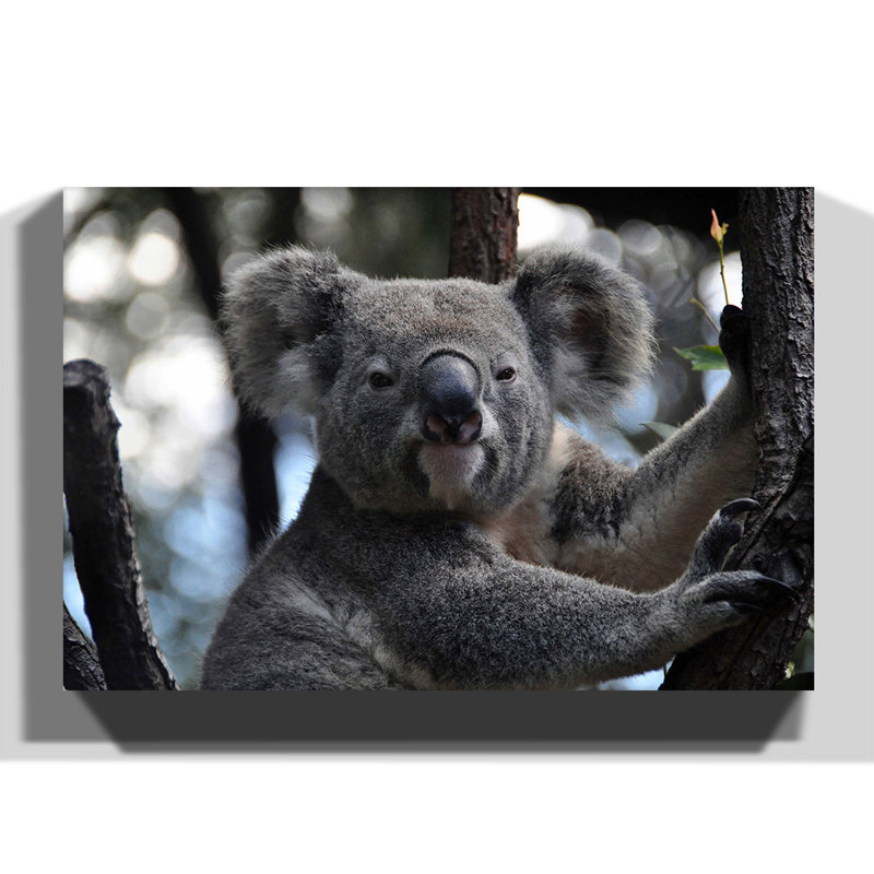 Wrapped Canvas Print, 50cm H x 76cm W