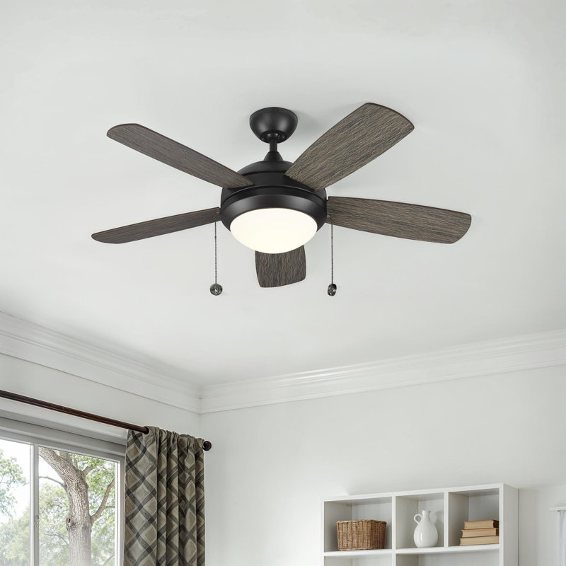 Ventilateur de plafond standard à 5 pales de 44 po avec chaînette et ensemble d'éclairage inclus Stoller, DEL