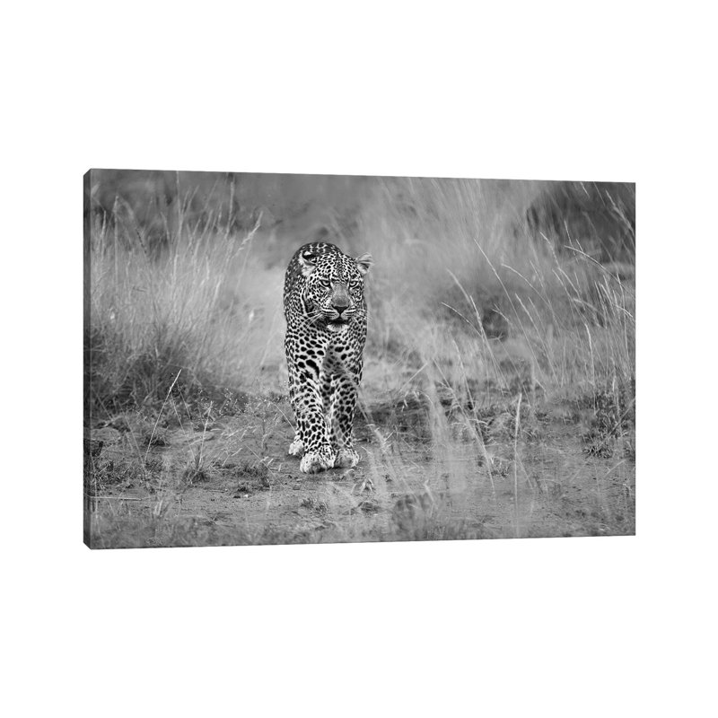 Untitled by Massimo Mei - Wrapped Canvas Print, 66.04 cm H x 45.72 cm W x 3.175 cm D