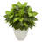 28 " H Faux Foliage Plant in Ceramic Planter