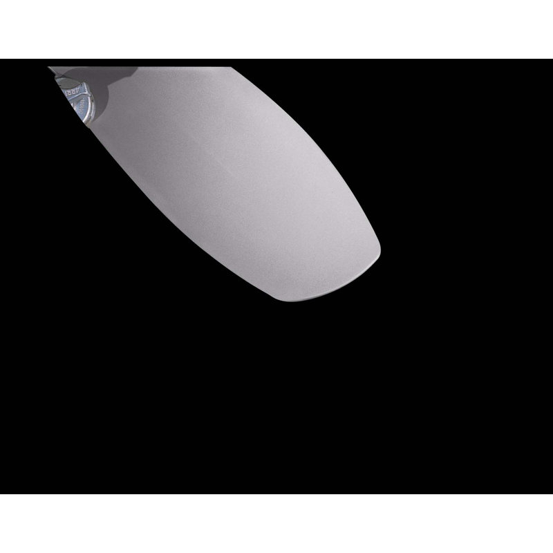 Minka Aire Ceiling Fan Blade, Silver