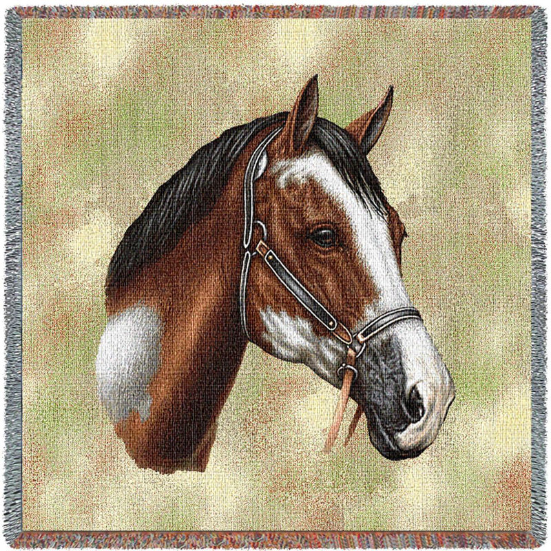 Couverture Pure Horse Weavers par Robert May