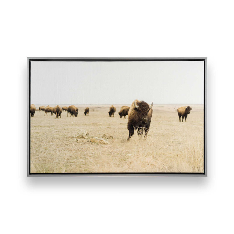 Impression sur toile Wild Plains, Cadre flottant en chrome poli, H 20,75 po x l 30,75 po x P 1,75 po