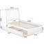 Imarion Platform Bed with Panel Footboard and  Trundle-742129037-742129043